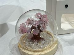 -上海浦东smart汽车全功能店(金桥店)