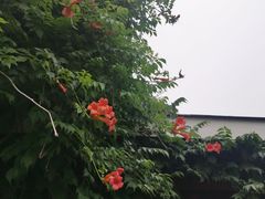 -苏州太湖国际会议中心