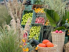 -中国天府农业博览园