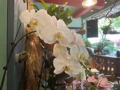 -花到家(富贵鸟花艺行)