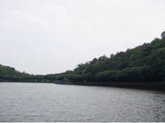 -李小龙乐园(顺德均安店)