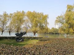 -天鹅湖体育公园