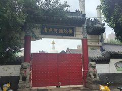 -西塔