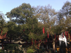 iphone_upload_pic-杭州上天竺法喜讲寺