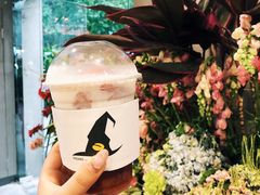 白富美莓-WIZARD COFFEE咖啡巫师