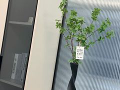 -魏家凉皮(铜锣湾店)