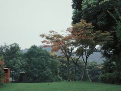 -知美术馆
