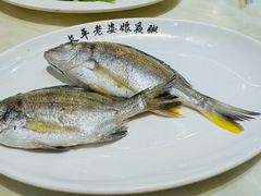潮汕蒸鱼饭-长平老姿娘夜粥(平东一街店)