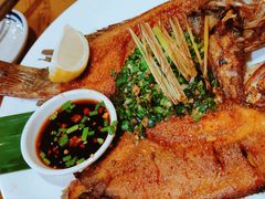 -蜗牛的家旅行主题云南菜餐厅.小酒馆(护国寺店)