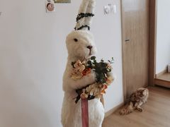 -猫腻·猫咖·撸猫馆(星光大道店)