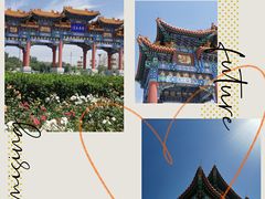 -南海子公园