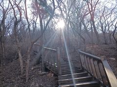 -富斯特索道