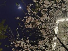 -苏州环秀晓筑养生度假村