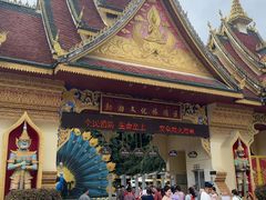 -西双版纳勐泐文化旅游区