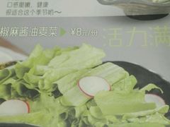 -泰煌鸡·上海白斩鸡·鸡汤面(鹤庆店)