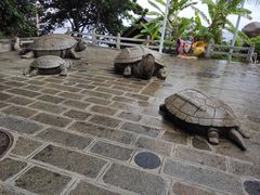 -海南分界洲岛旅游区