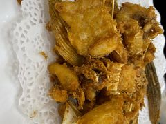 -源港渔村-中山脆肉鲩(博罗店)