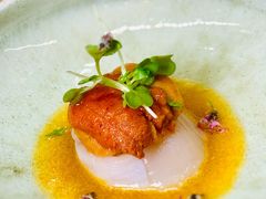 海胆带子-803居酒屋