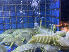 -徐记海鲜(汉城湖|太奥店)
