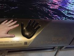 -星光大道
