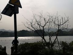-西湖游船