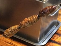 -丹东特色烤肉(学府路一部店)