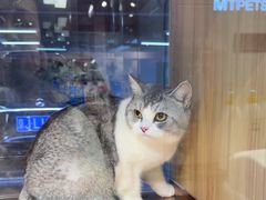 -FAELING PETS美天灵宠物(富力广场店)