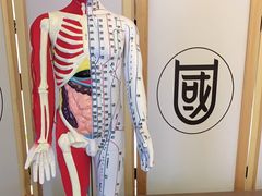 -医济堂·中医养生·经络理疗(凤凰西街店)