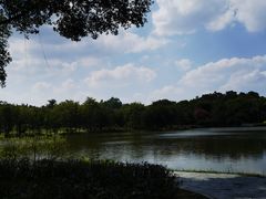 -东莞植物园