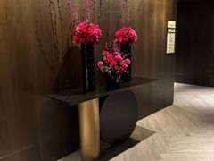 -新加坡乌节希尔顿酒店 (SG Clean)