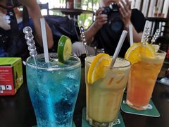 -马六甲鸡场街