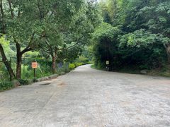 -四明山国家森林公园