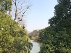 -上海滨江森林公园