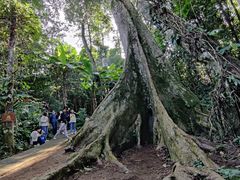 -中国科学院西双版纳热带植物园