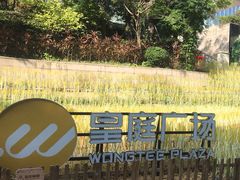 -皇庭广场(福华三路店)