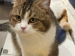 -平行世界·猫咖(首经贸店)