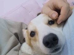 -萌兽医馆·眼科·异宠专科(三里屯店)