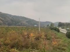 -南泥湾风景区