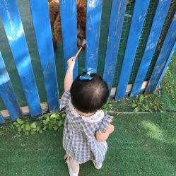 -萌宠亲子动物乐园(槐房万达店)