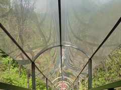 -参仙谷生态旅游度假区