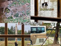 -上海野生动物园