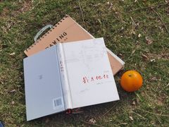 -羊山湖公园