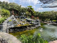 -吉隆坡雀鸟公园