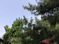-大钟寺古钟博物馆