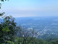 -北京西山国家森林公园