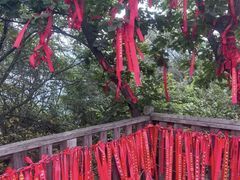 -帽儿山国家森林公园