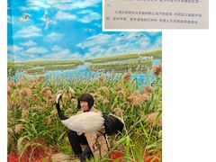 -盐城丹顶鹤湿地生态旅游区