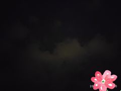 -金太狼4k国际影城