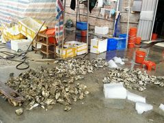 -蚝专家(北滘店)