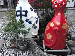 -猫咪博物馆(顶澳仔猫街店)